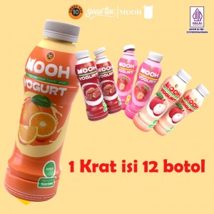 橙子味瓶装酸奶 250 ML